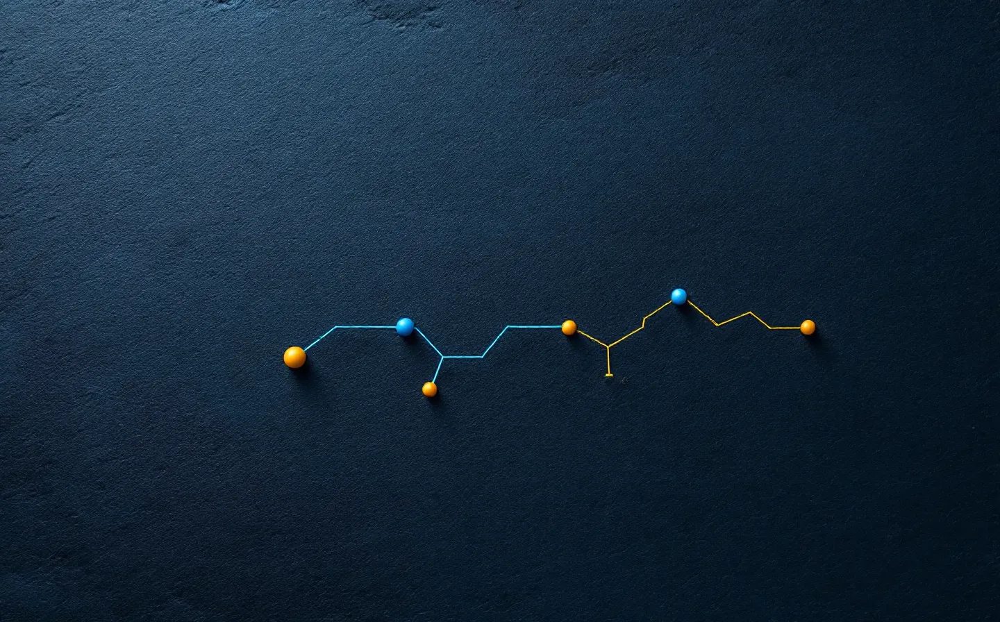 Terminal-style amber-and-blue schematic comparing a short amber peptide-fragment capping a globular-actin node against a longer blue full-length protein chain, on a deep slate ground